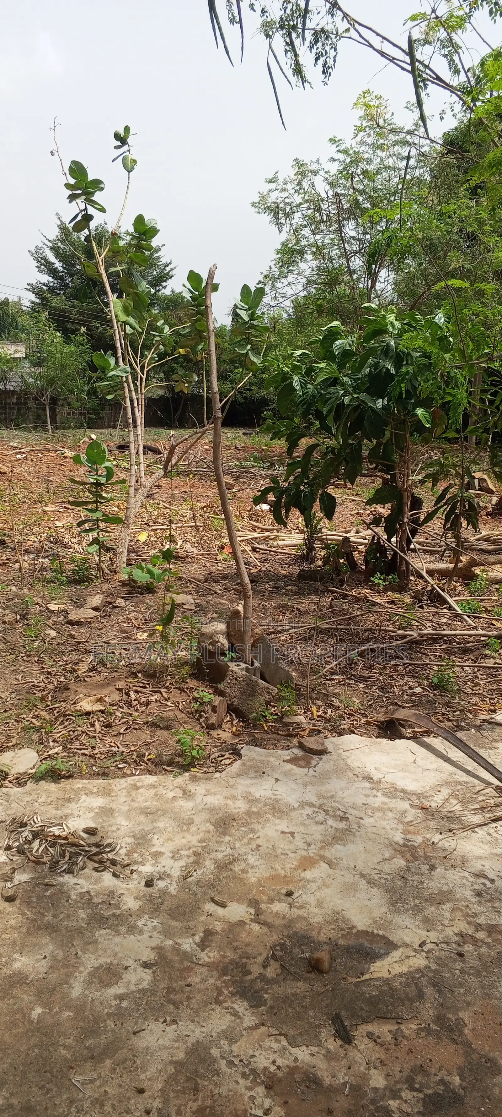 Land for Sale at Oyarifa Teiman