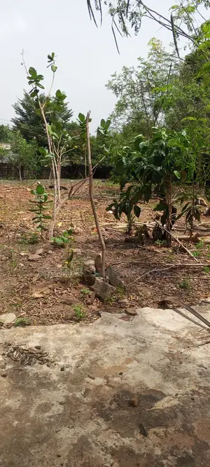 Land for Sale at Oyarifa Teiman