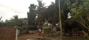 Land Located in a Serene Environment