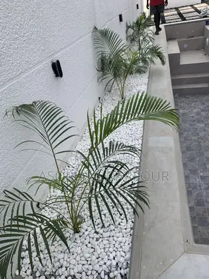 Landscape Gardening