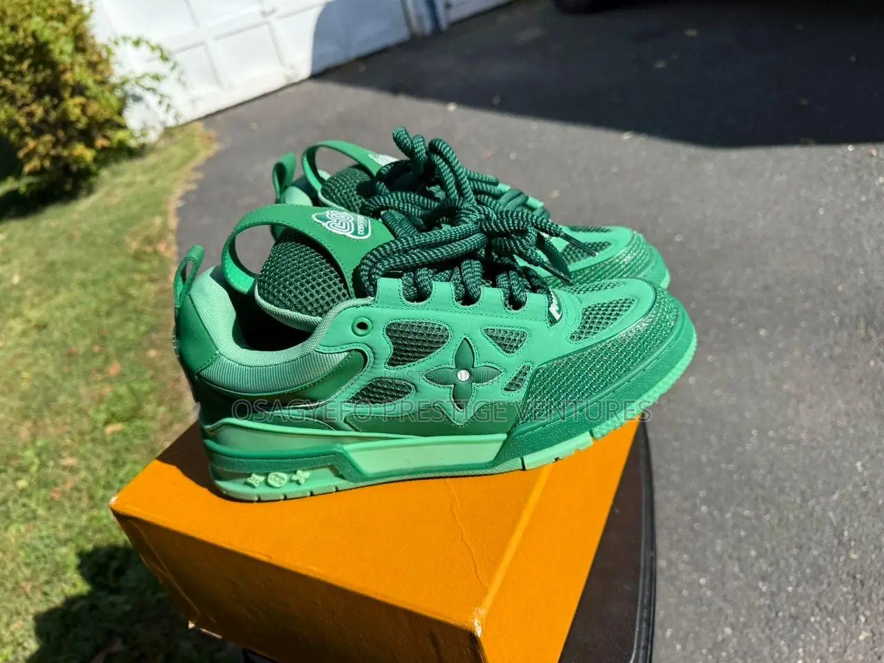 Louis Vuitton Lv Skate Sneaker