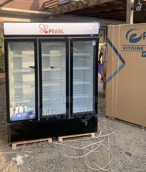 Order Pearl Pvc—1540-28ab 3 Door Electric Refrigerator 