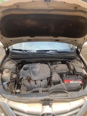 We Was Car Engine to Look Clean, No Damage and Also Detailing Service