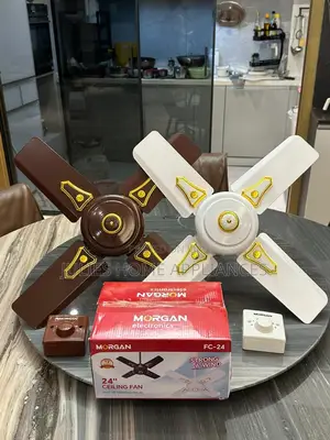 24 Inches Ceiling Fan