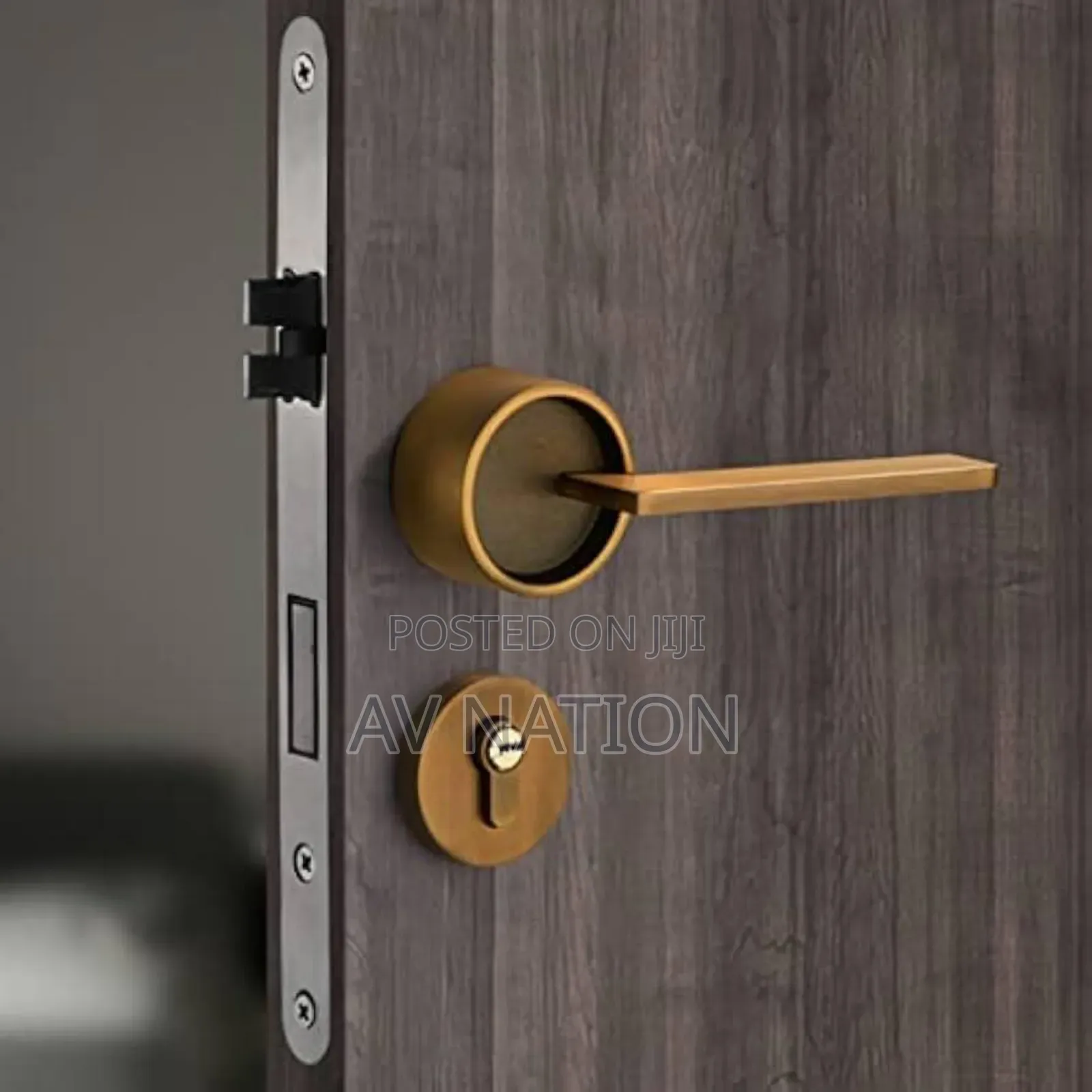 Security Door Lock
