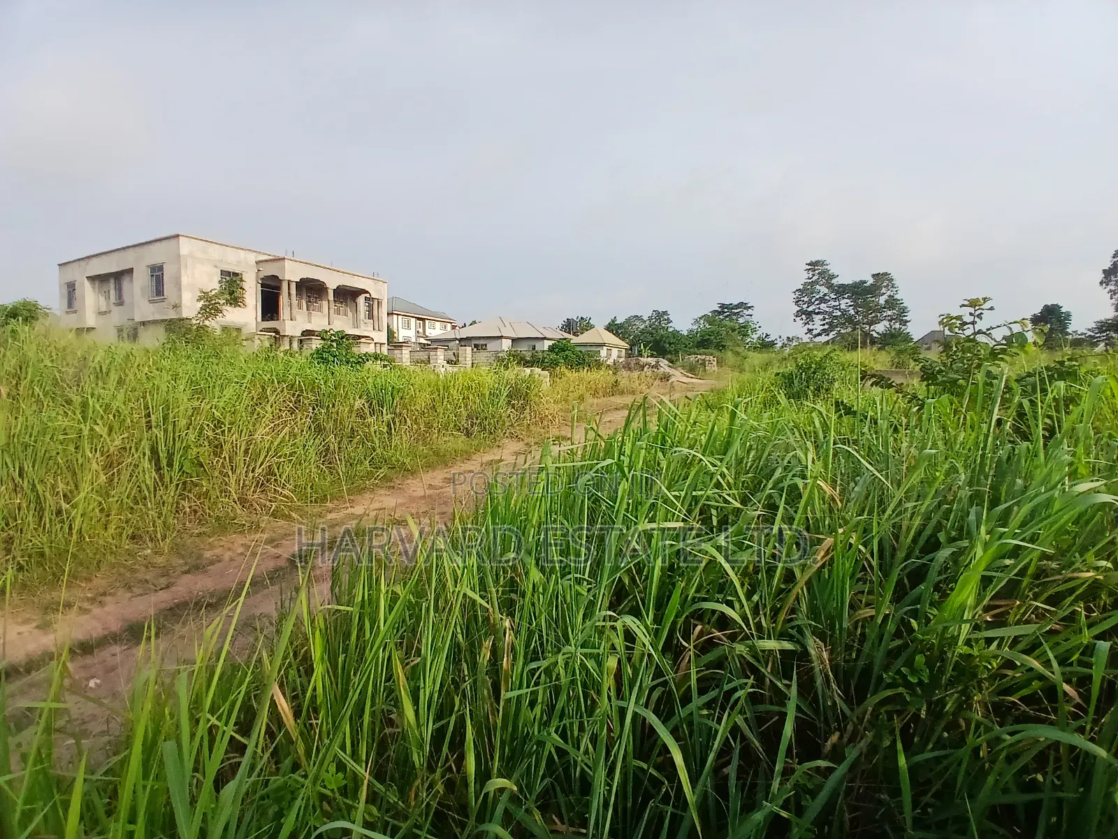 Land at Tech Appiadu Knust Campus