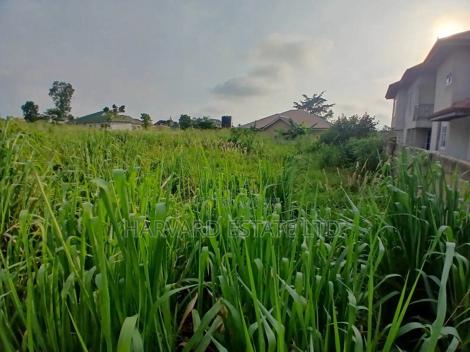 Land at Tech Appiadu Knust Campus