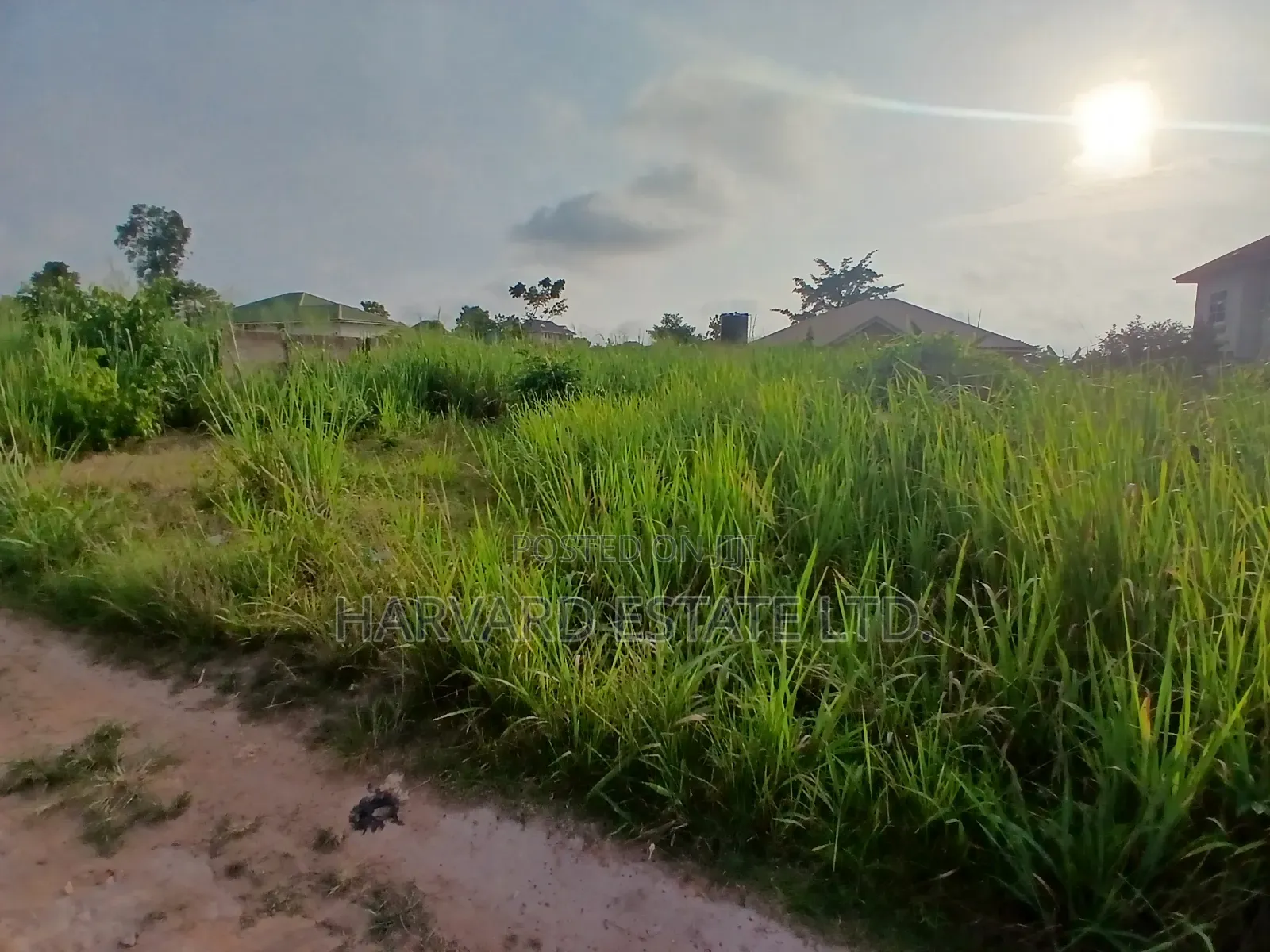 Land at Tech Appiadu Knust Campus