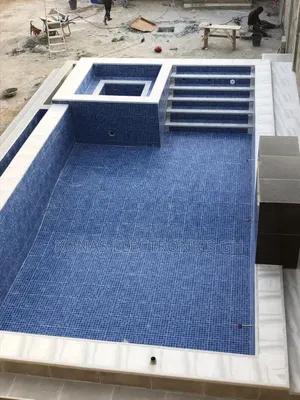 Swimming Pool Professional Services