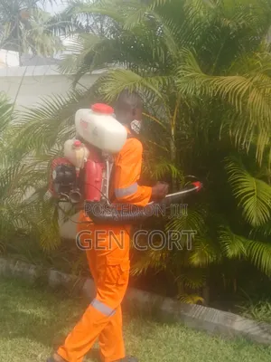 Fumigation Against Insects