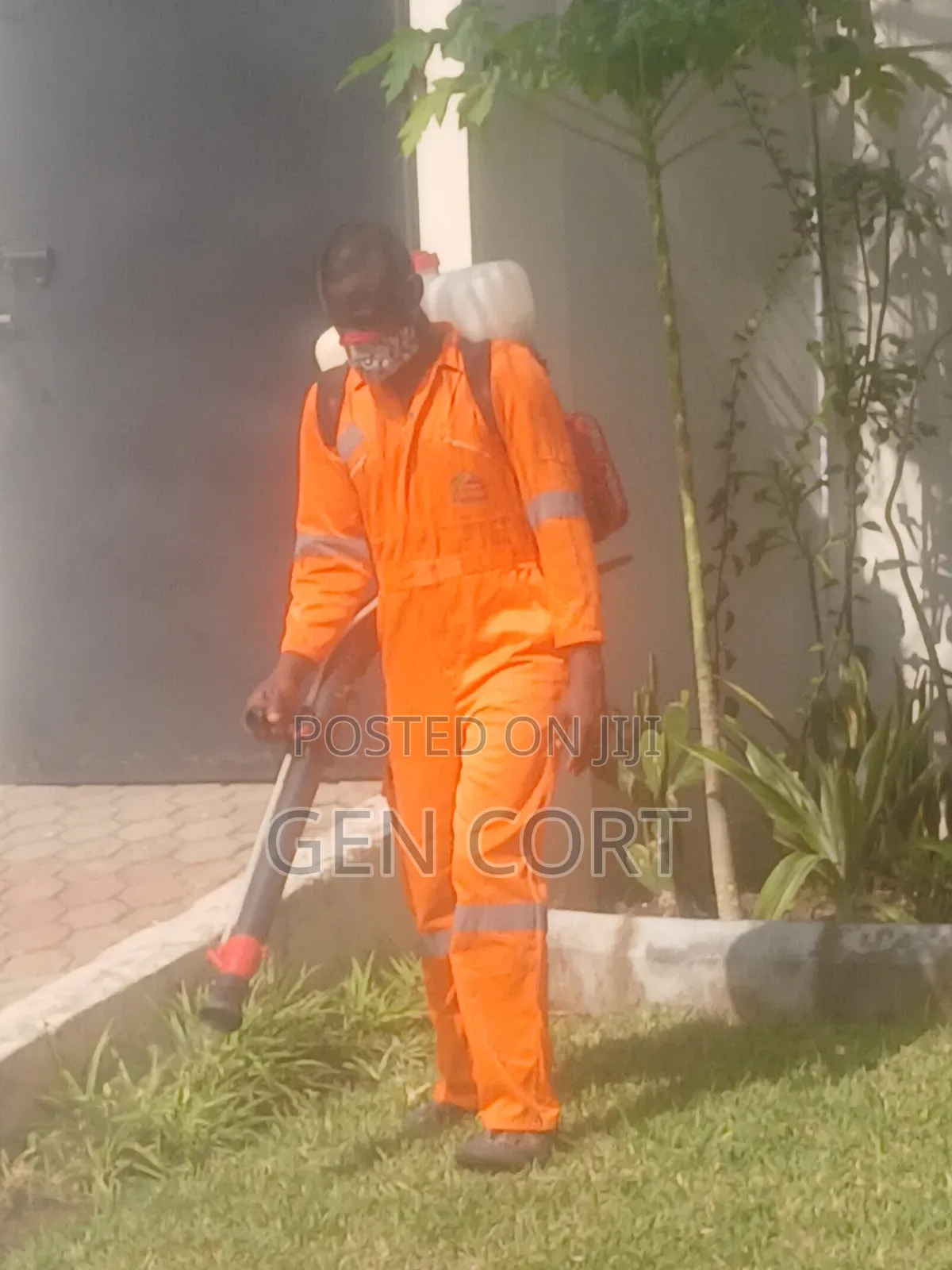 Fumigation Against Mice