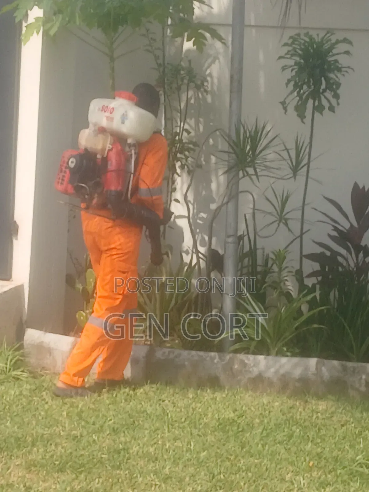 Fumigation Against Mice