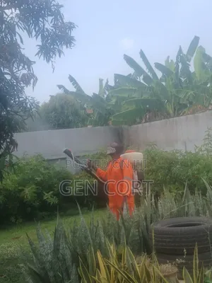 Move in and Move Out Fumigation