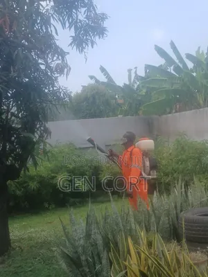 Move in and Move Out Fumigation