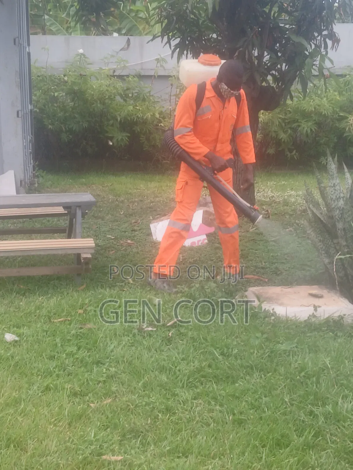 Move in and Move Out Fumigation