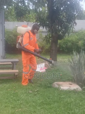 Bedbugs Fumigation