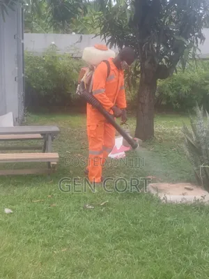Bedbugs Fumigation