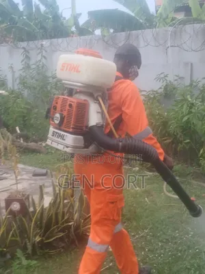 Bedbugs Fumigation