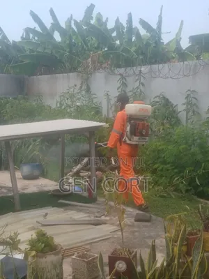 Bedbugs Fumigation