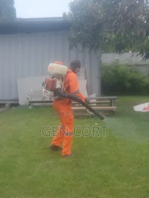 Office Fumigation and More