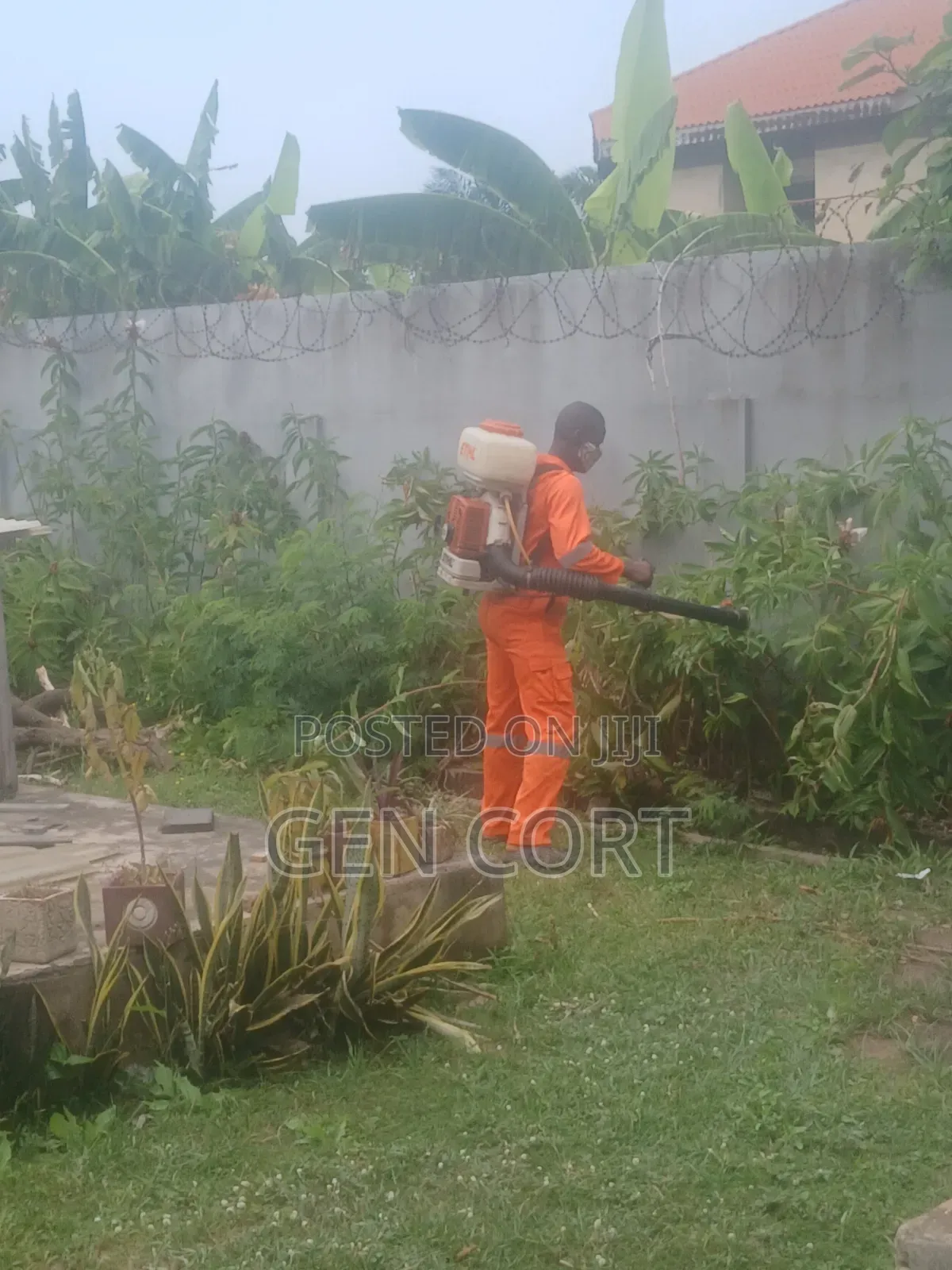 Office Fumigation and More