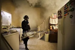 Life Is Good Fumigation With Cleantex