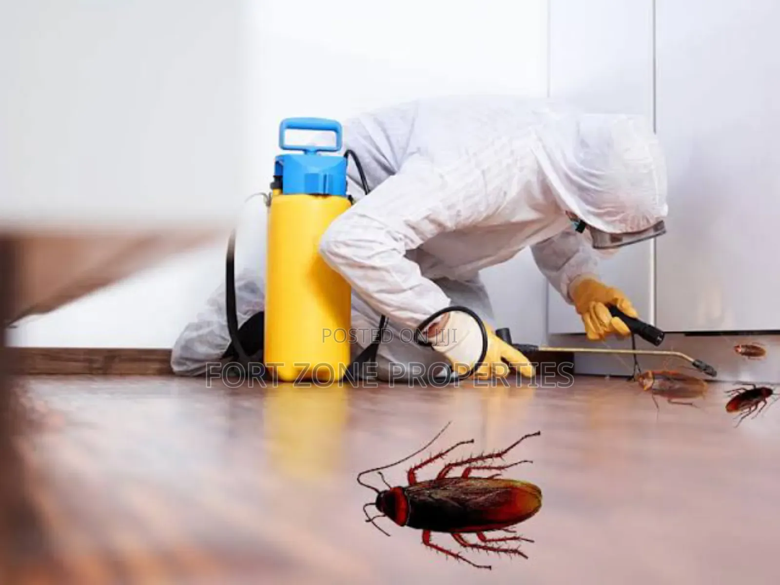 Better Best Fumigation With Cleantex