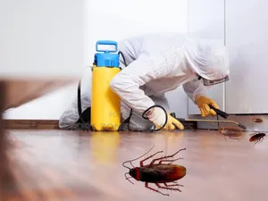 Better Best Fumigation With Cleantex