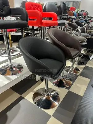Salon Chair