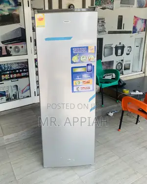 High Efficient Nasco Nasd1-33 Single Door Upright Standing Freezer 