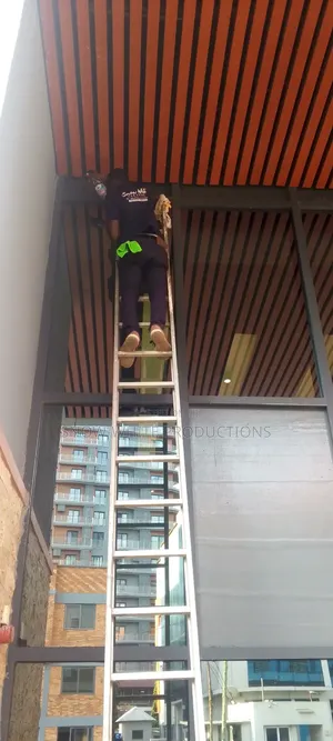 Professional Cleaning Services