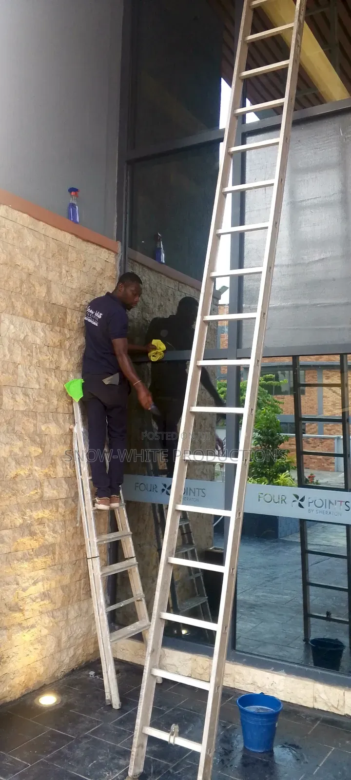 Professional Cleaning Services