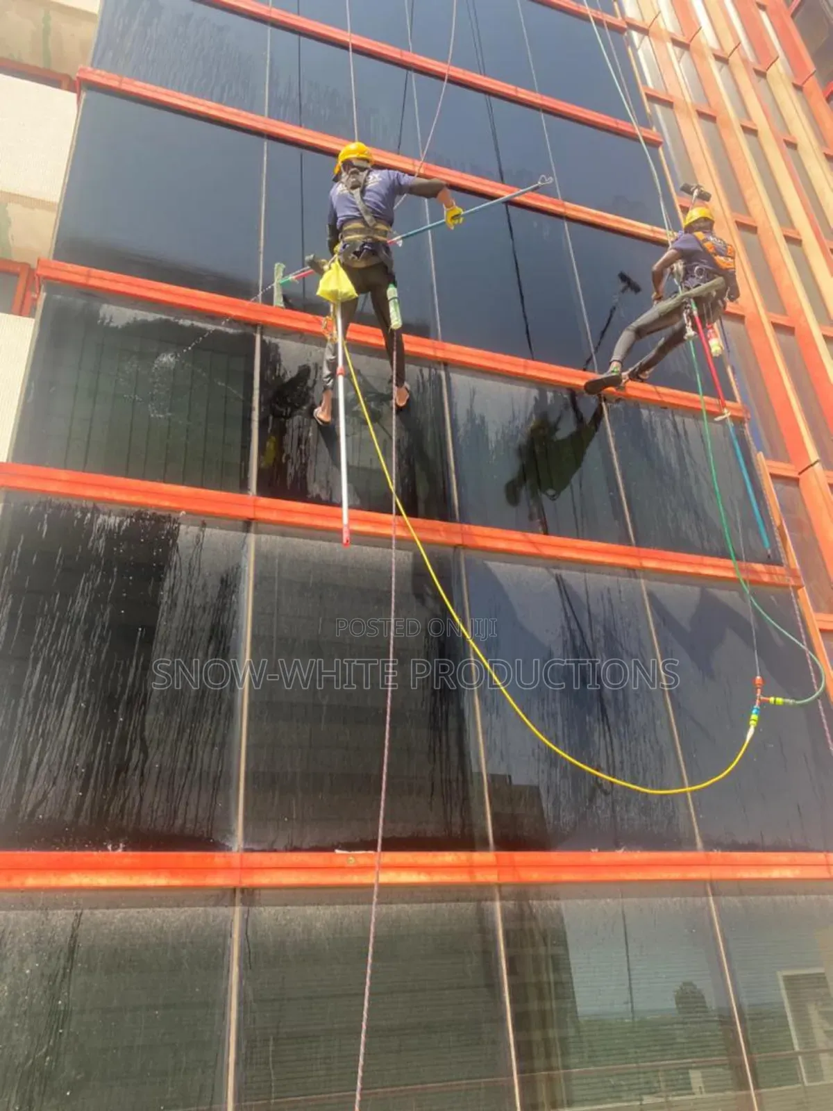 Professional Cleaning Services