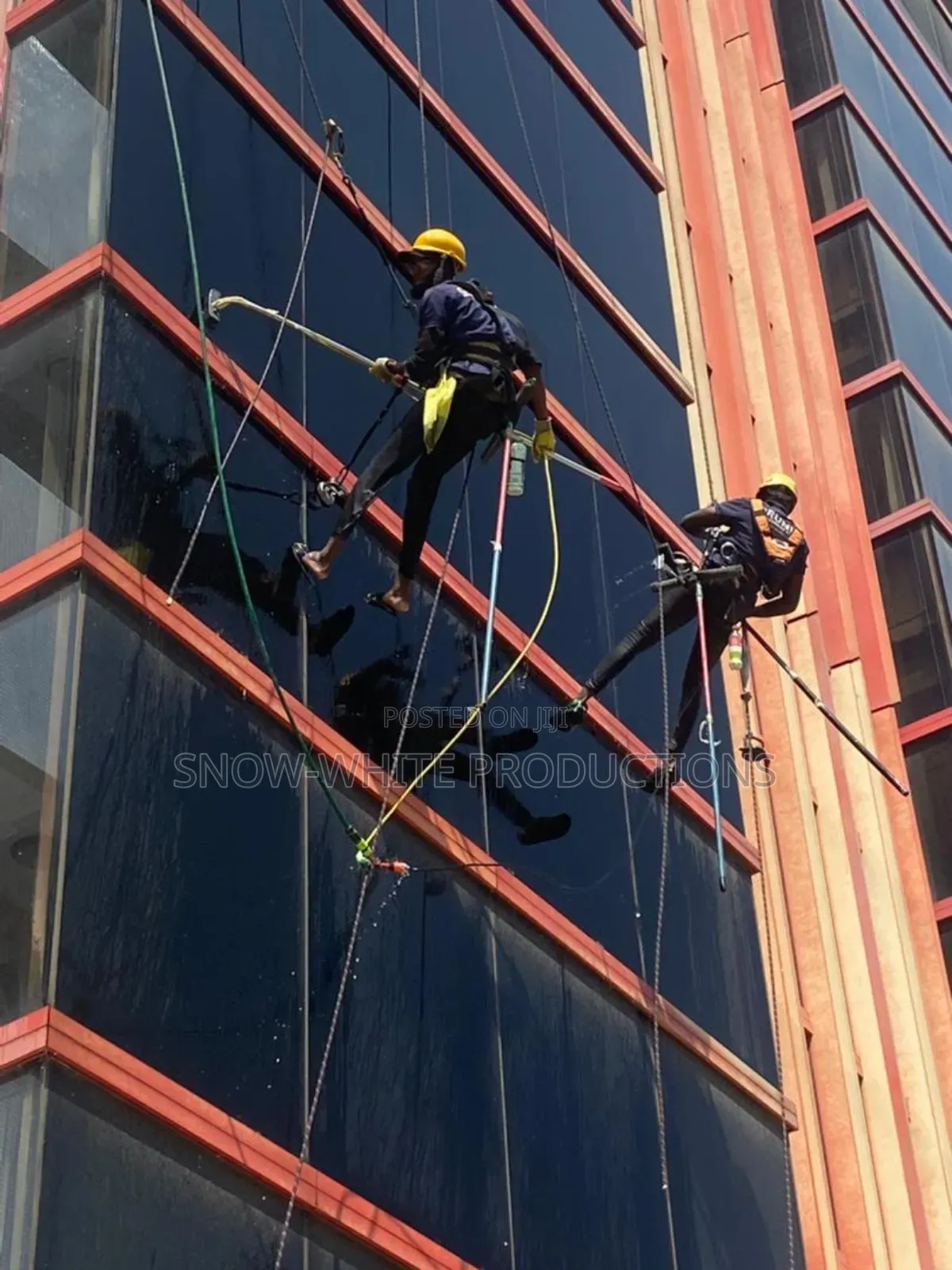 Professional Cleaning Services