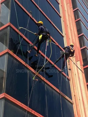 Professional Cleaning Services