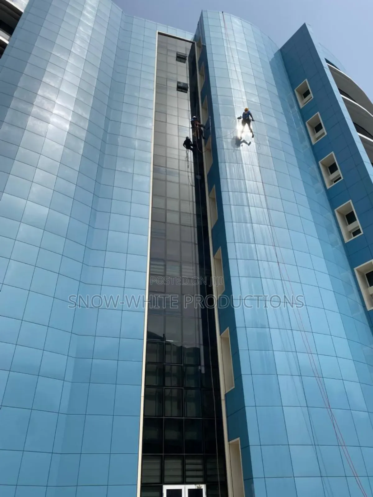 Professional Cleaning Services