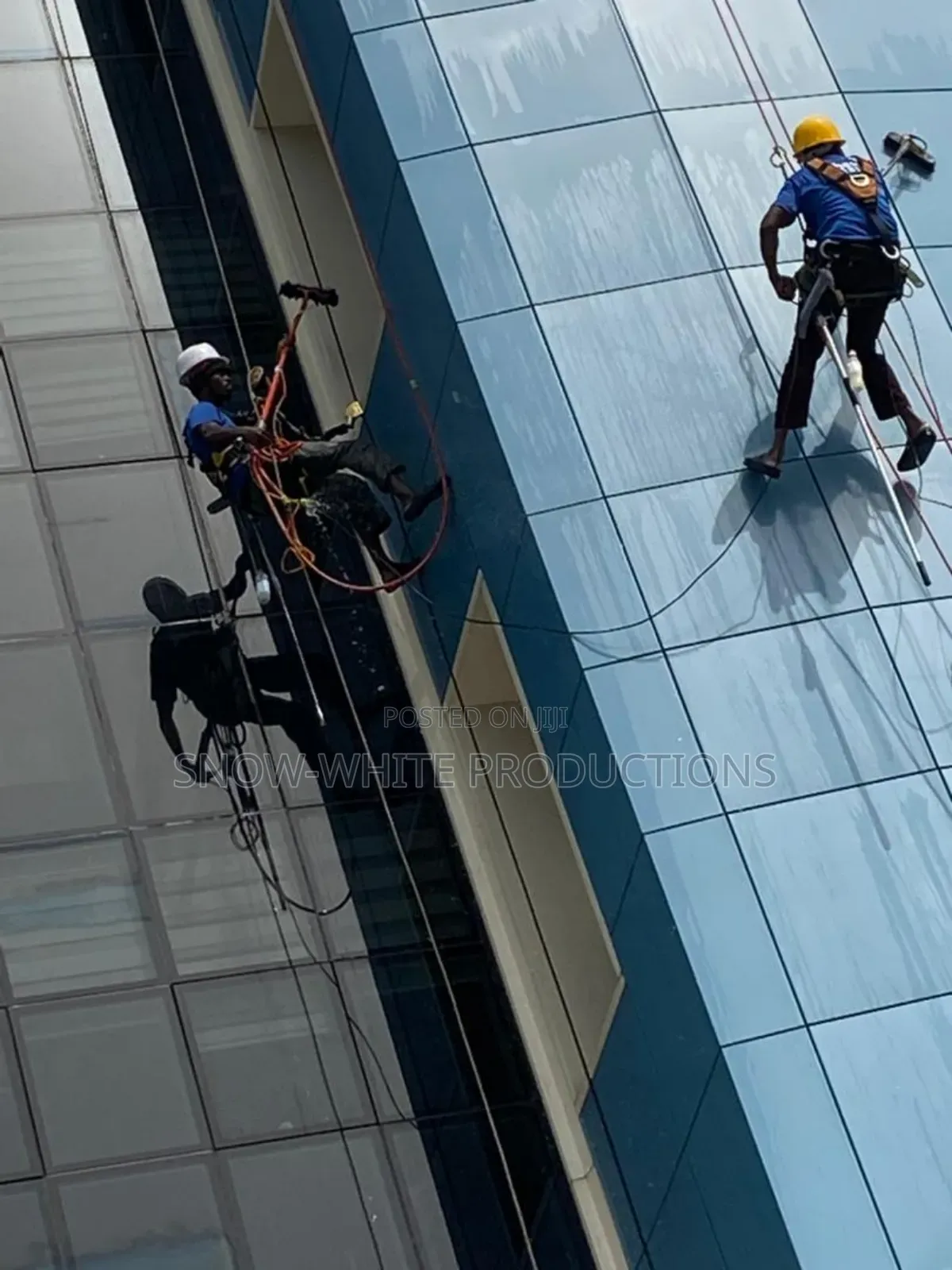 Professional Cleaning Services