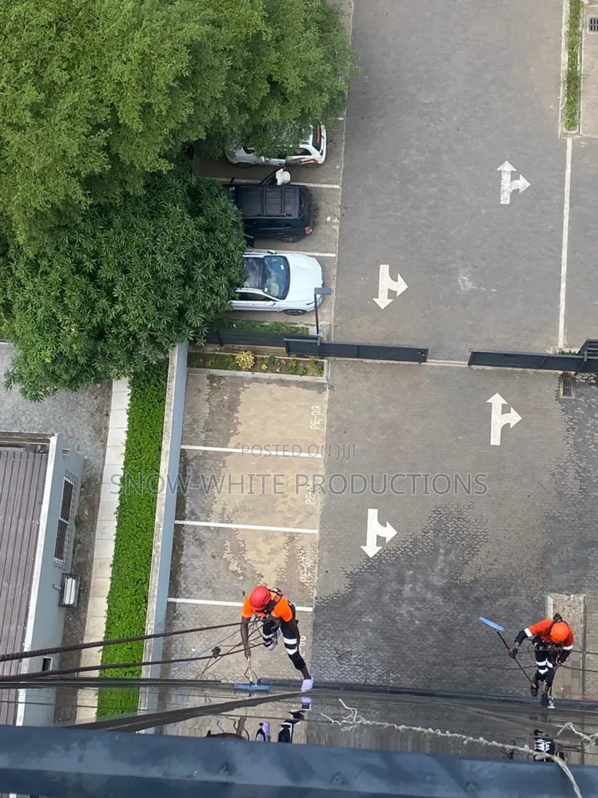 Professional Cleaning Services