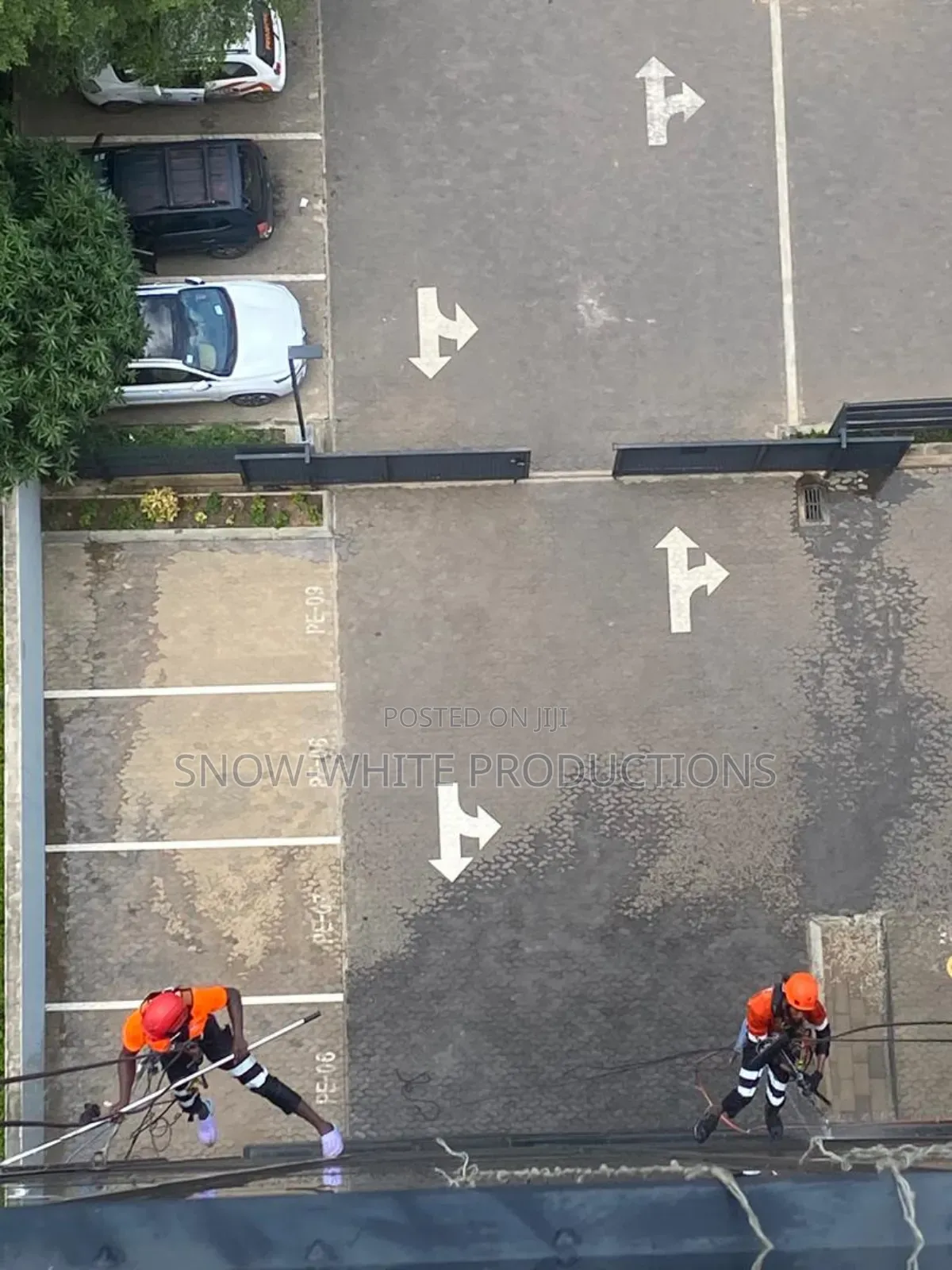 Professional Cleaning Services