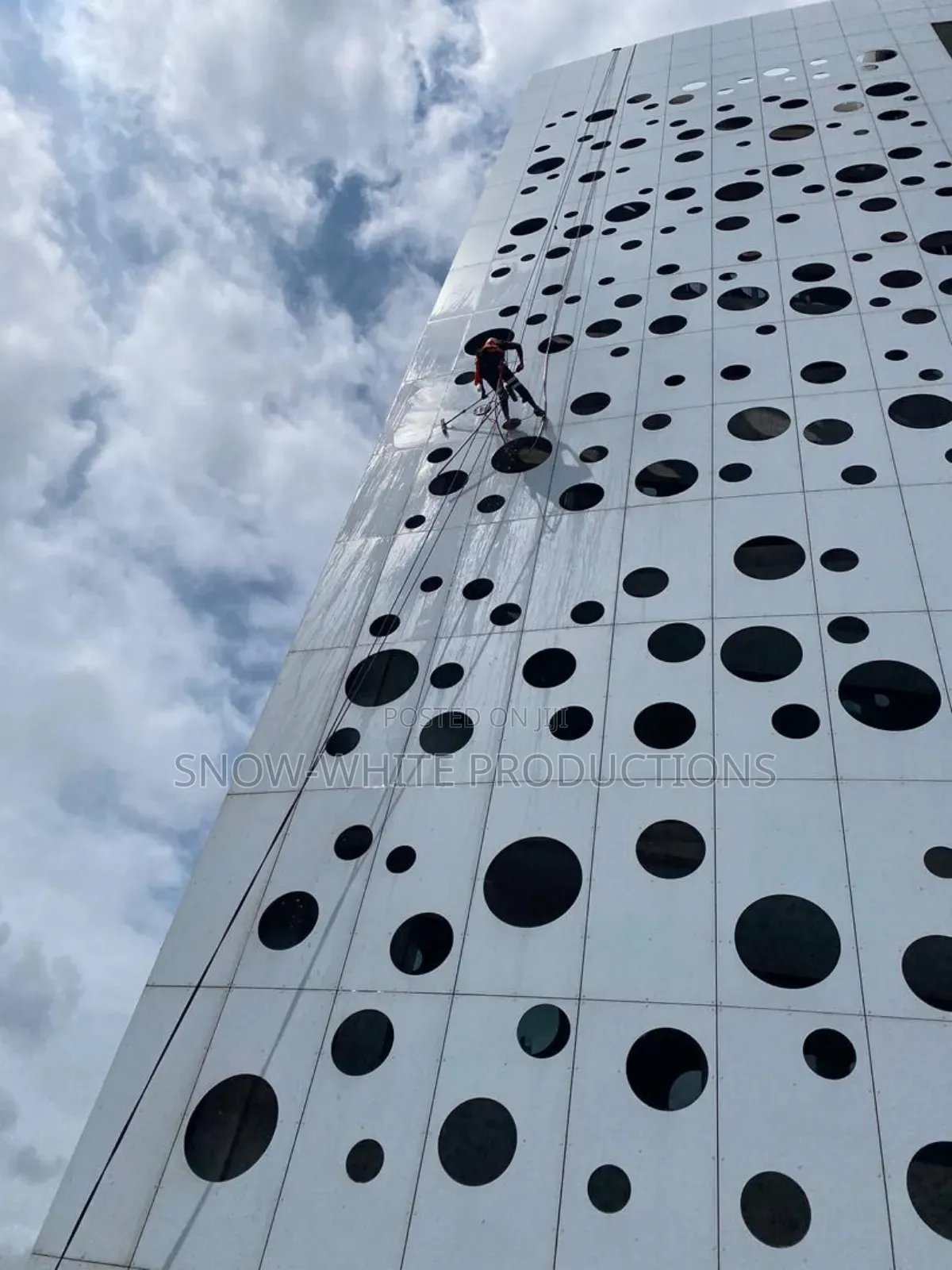Professional Cleaning Services