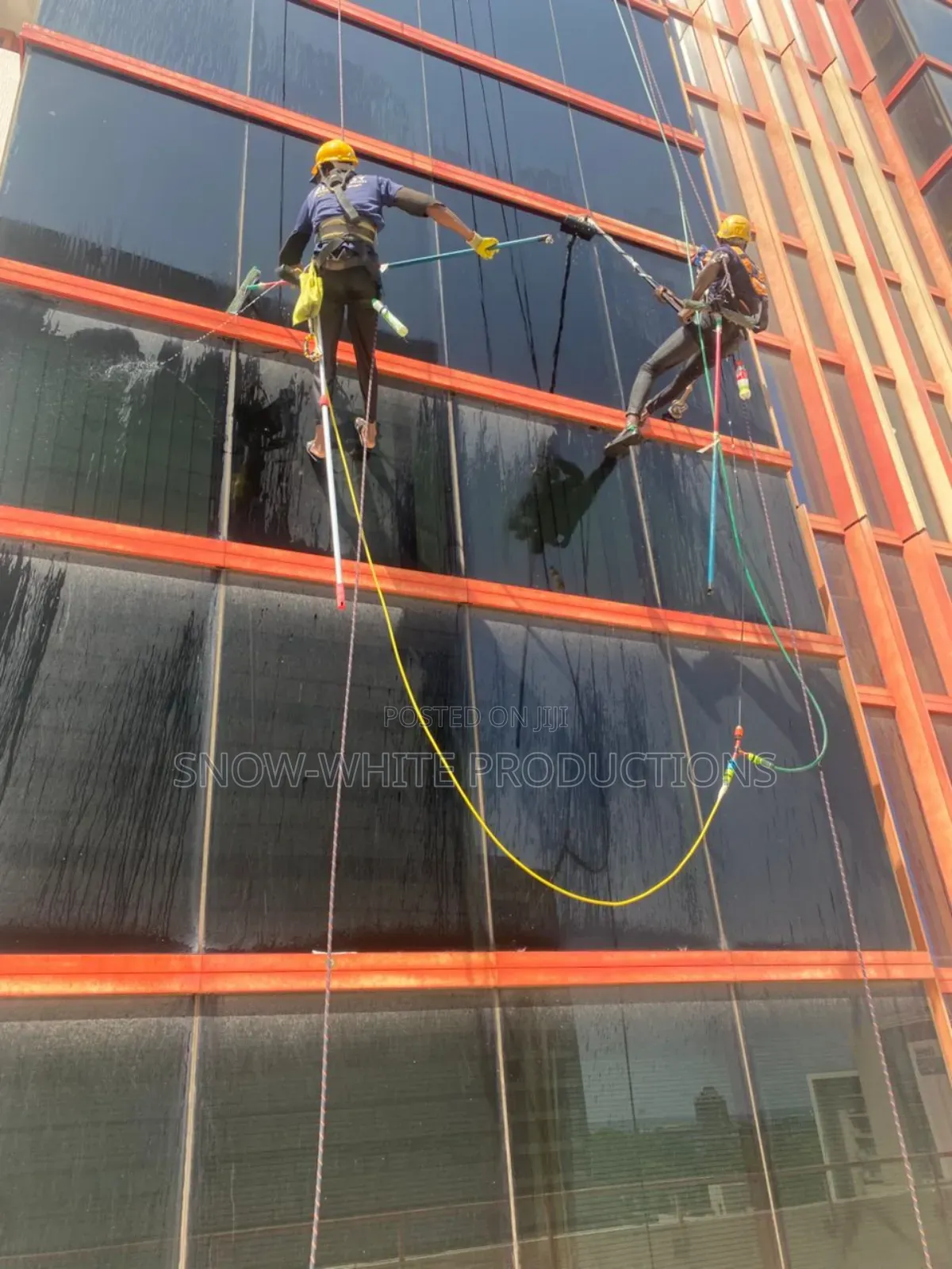 Professional Cleaning Services