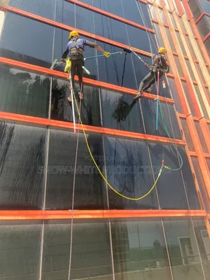 Professional Cleaning Services
