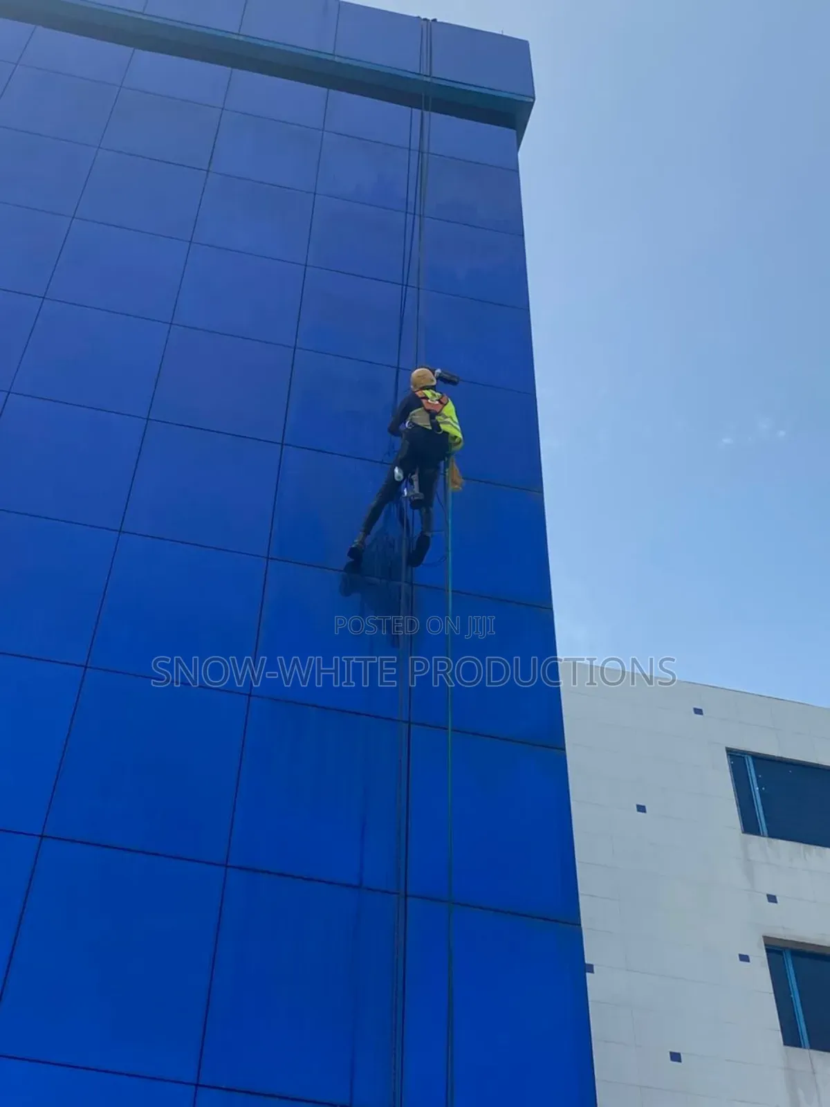 Professional Cleaning Services