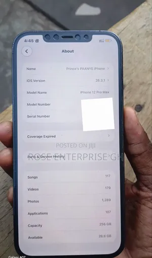 Apple iPhone 12 Pro Max 256 GB Blue