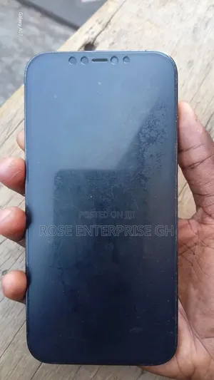 Apple iPhone 12 Pro Max 256 GB Blue