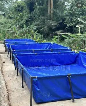 Start Your Fish Farm Journey (Big Package)