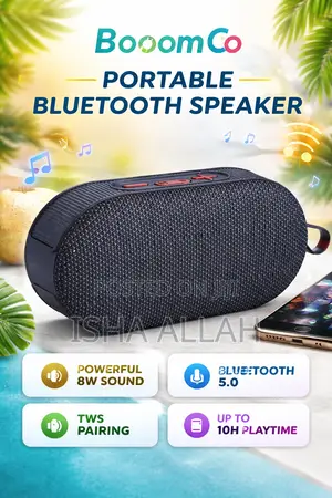 Boomgo B100 – Pocket Bass Beast