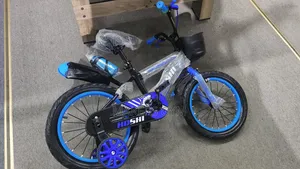 Kids Bicycle Darling Blue 16inchs