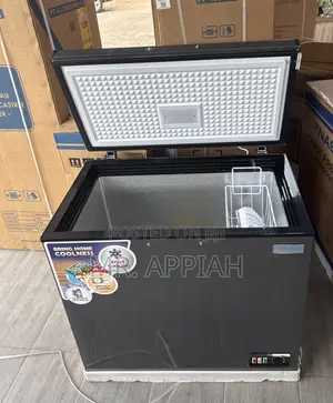 Quality Single Door Electric Chest Freezer(Nas—200fl)Gray,150l