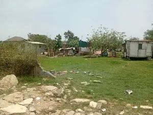 Half Plot of Land for Sale at Lashibi Community 19 Annex